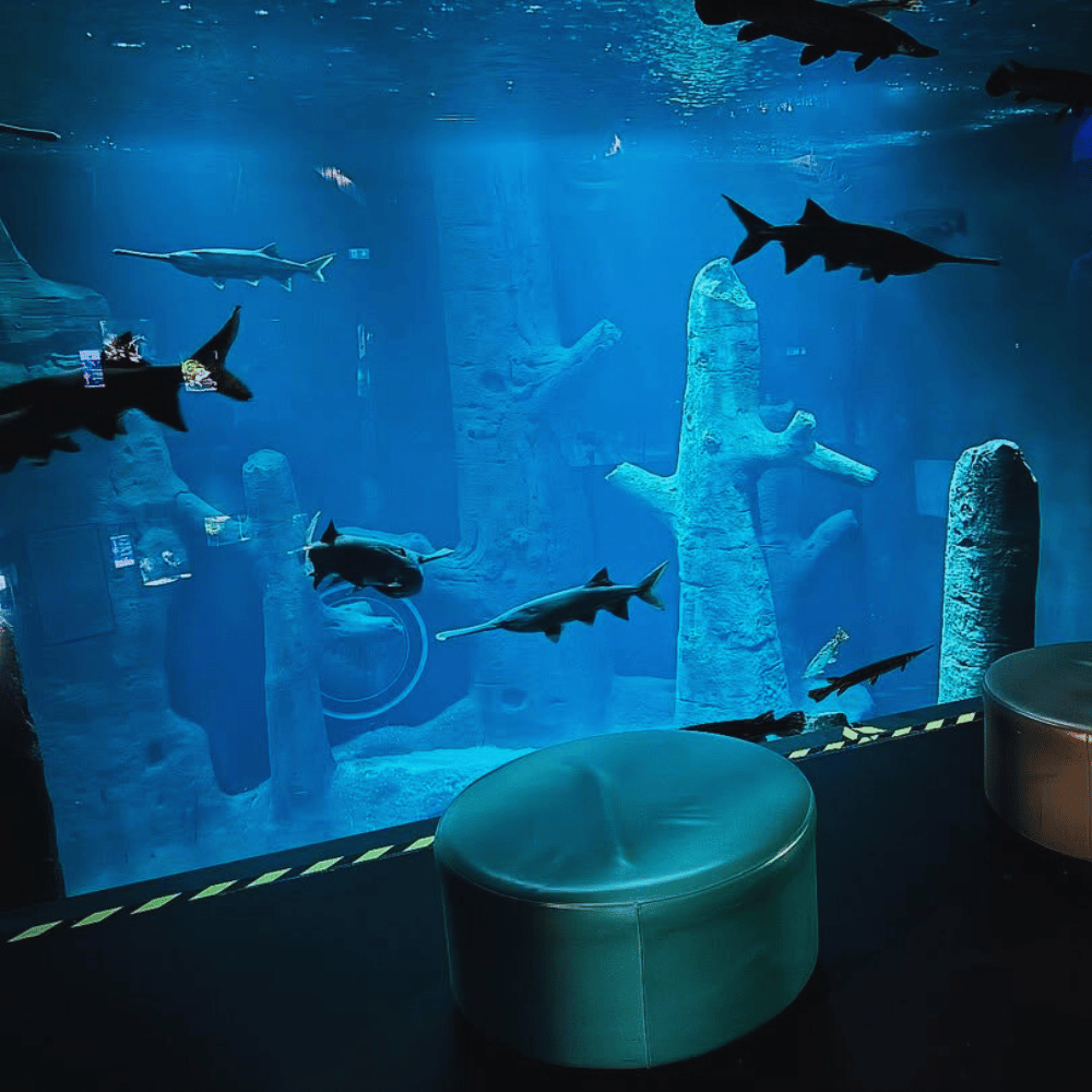 Une petite bouffée d'air - Du 16 au 20 Février