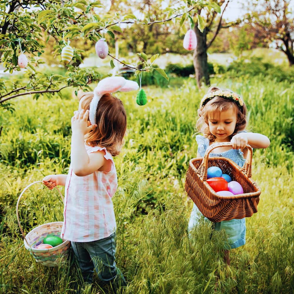 3 ans - Les Aventures du Petit Nicolas 