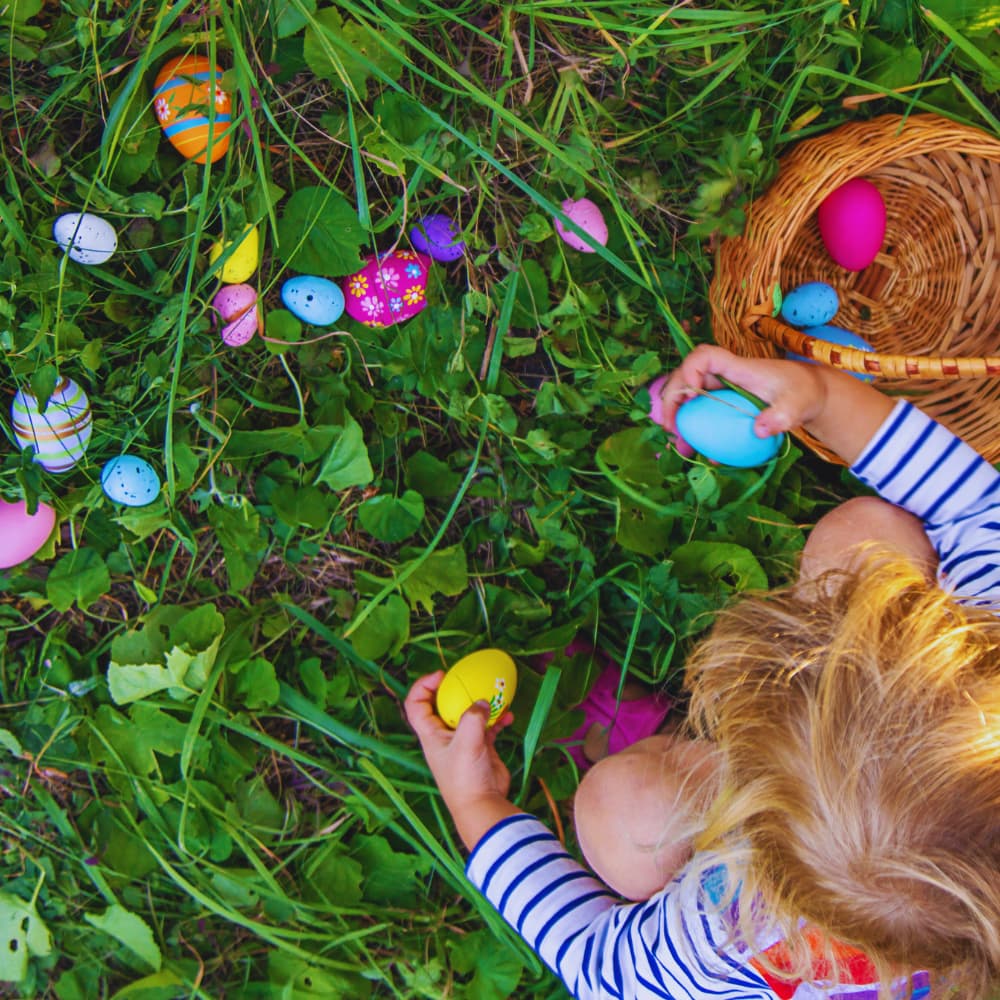 Grain de Folie - 4 à 12 ans