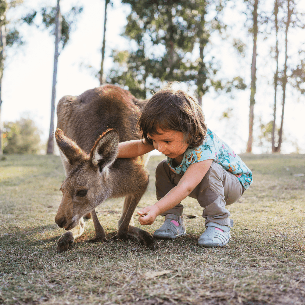 4 à 7 ans - À la découverte des terres australes -