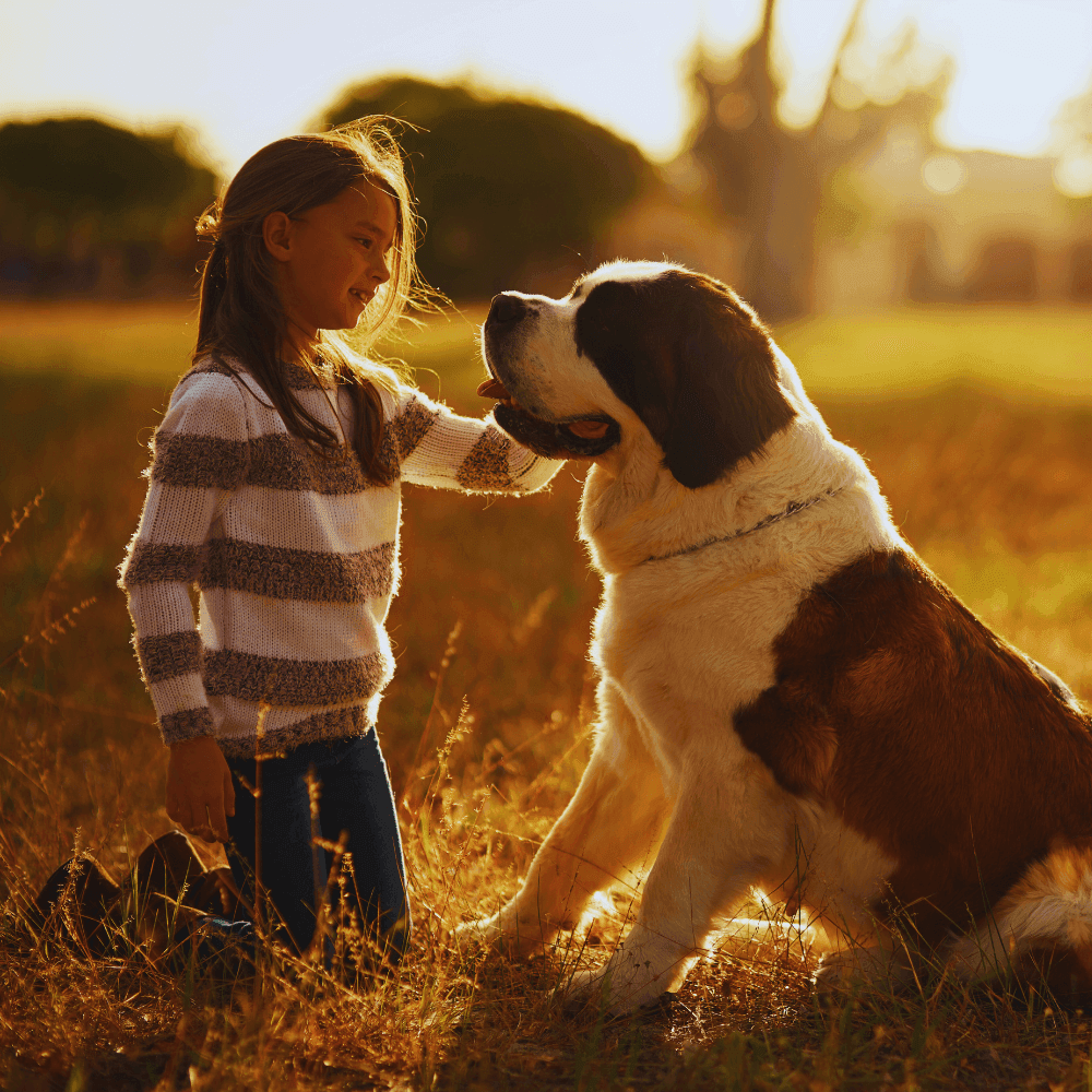 4 à 7 ans - Sur les traces des animaux de chez nous