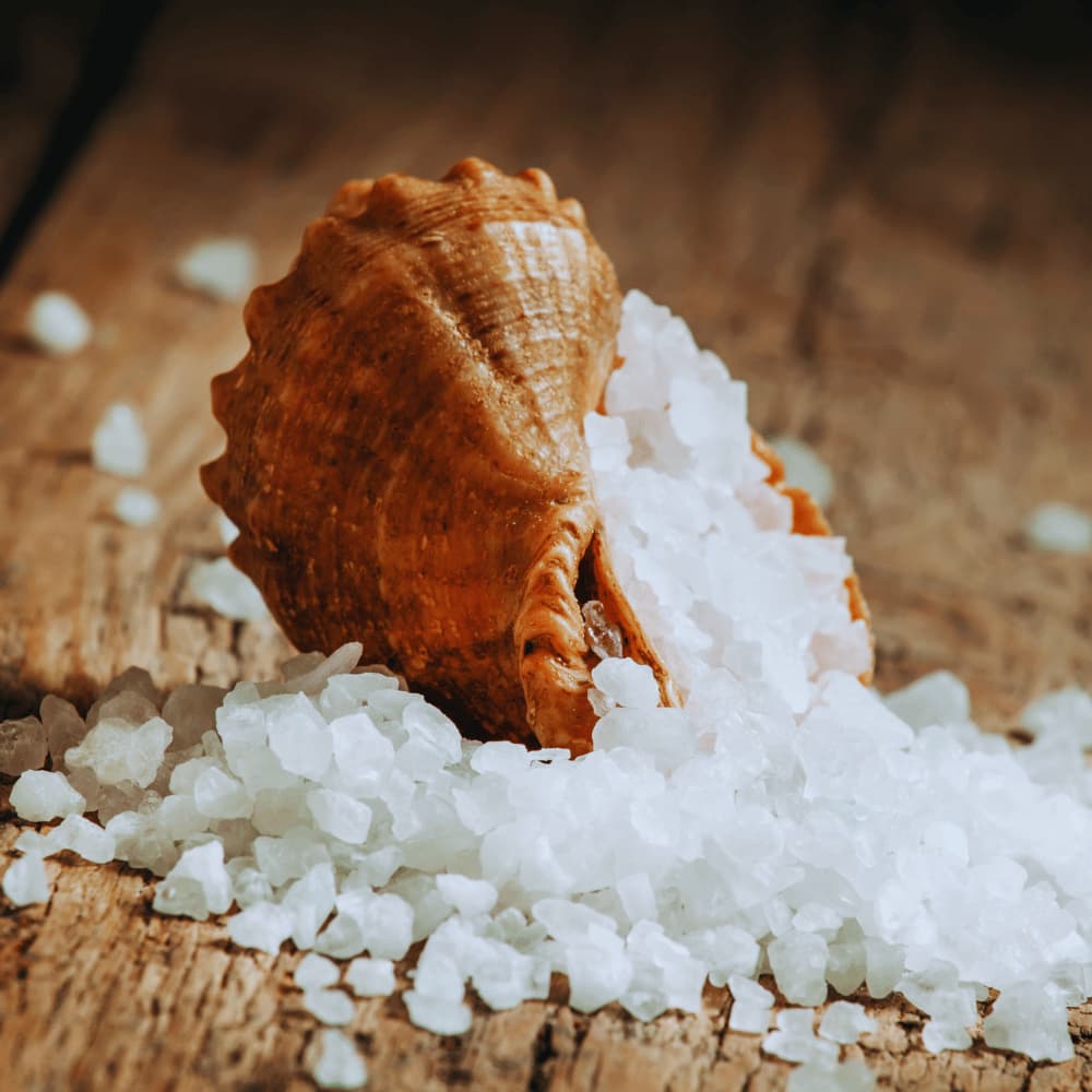 3 ans - Les aventure du petit Nicolas “ L’ Or blanc ”