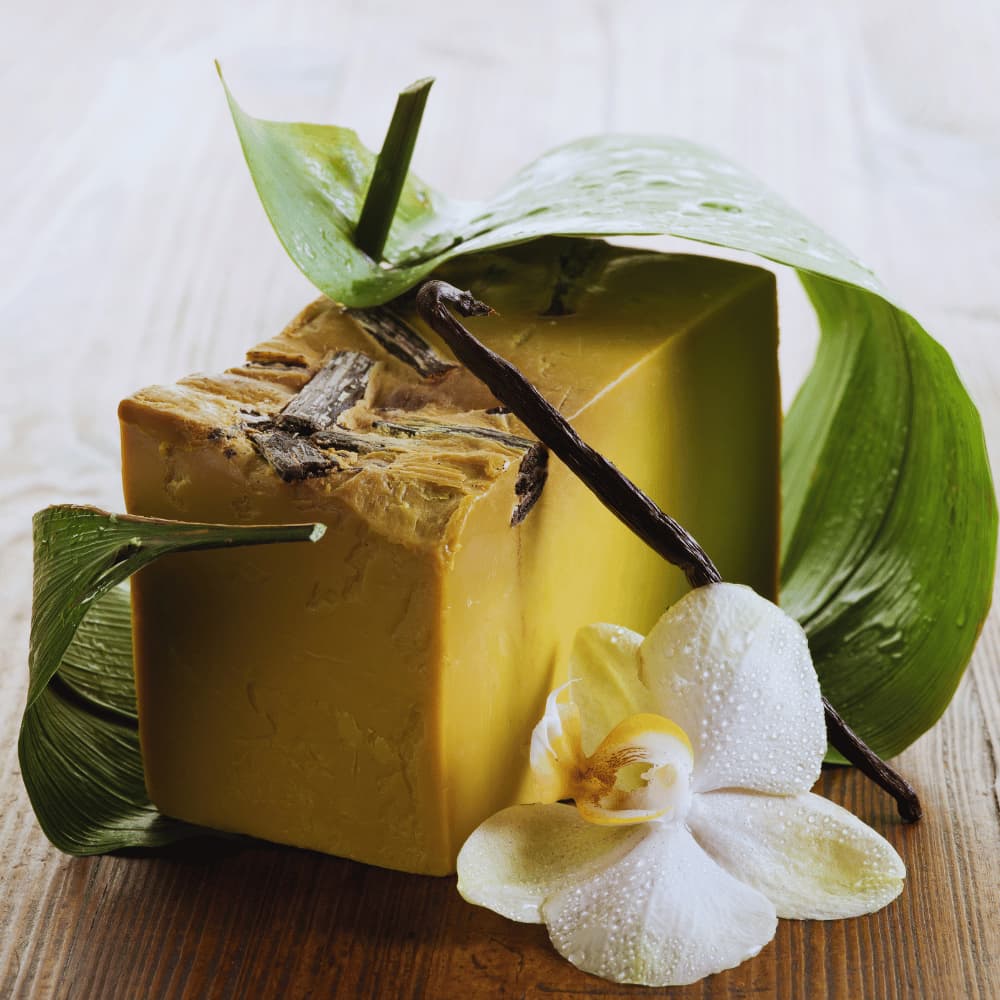 8 à 13 ans - Vanille