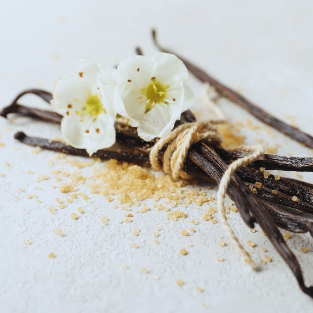 8 à 13 ans - Vanille