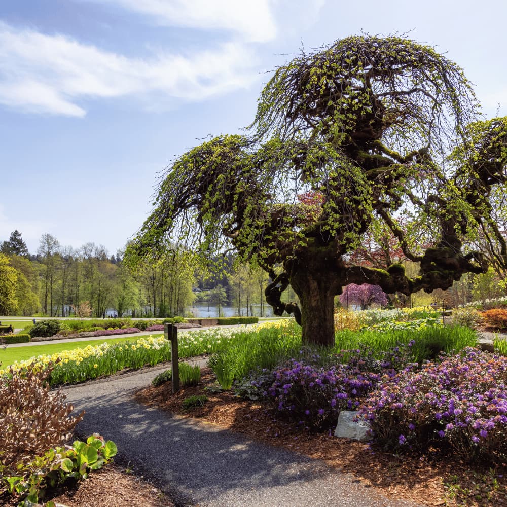 Grain de Folie “Tcheu que c’est beau “ - 4 à 12 ans